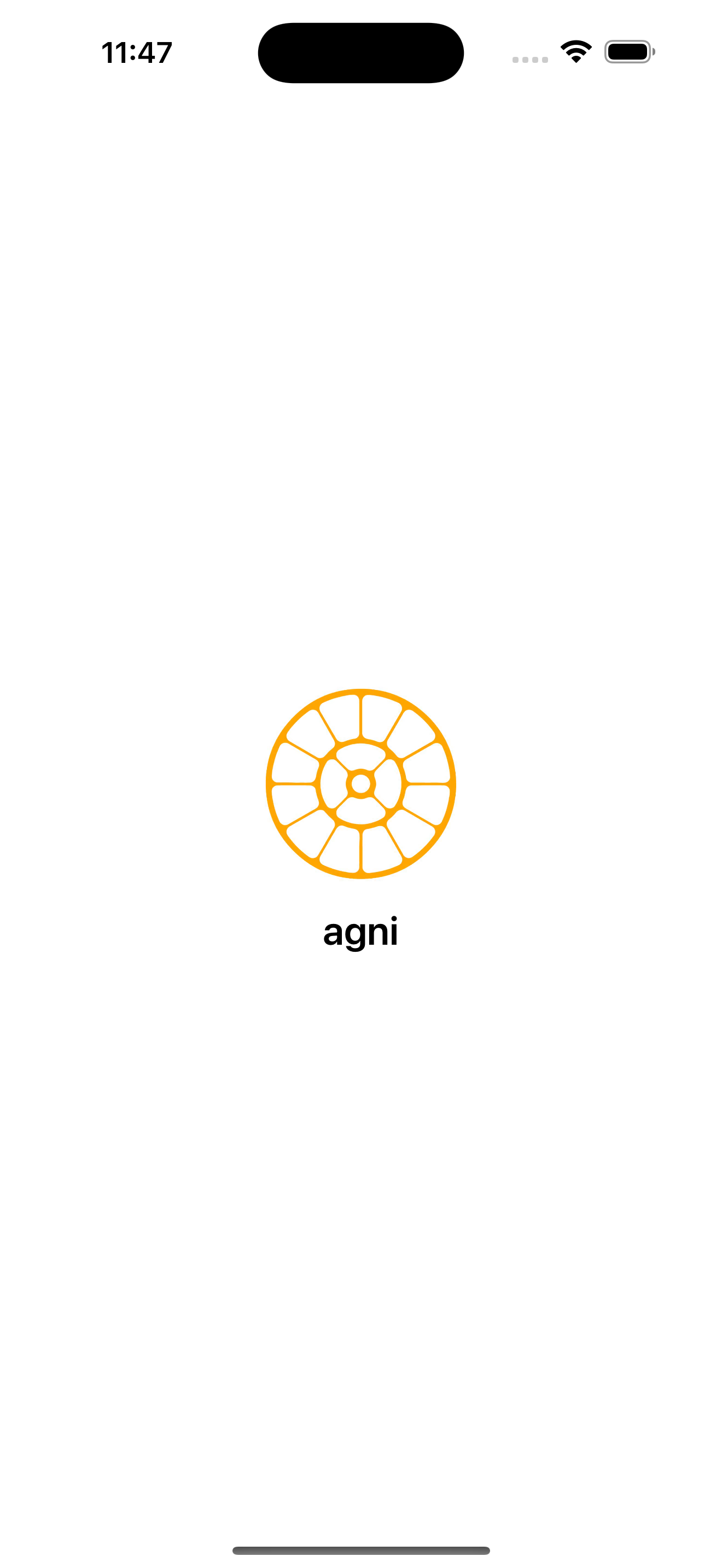 App Screenshot 1